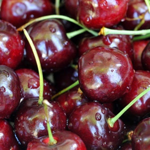 Black Cherry - 100ml Vape Liquid - Mix n Match - Buy 2 Get 1 Free on all Flavours!