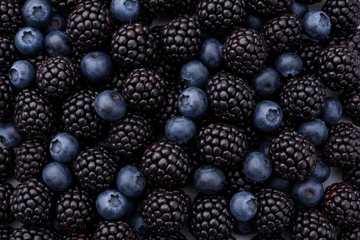 Black 'n' Blue professional image