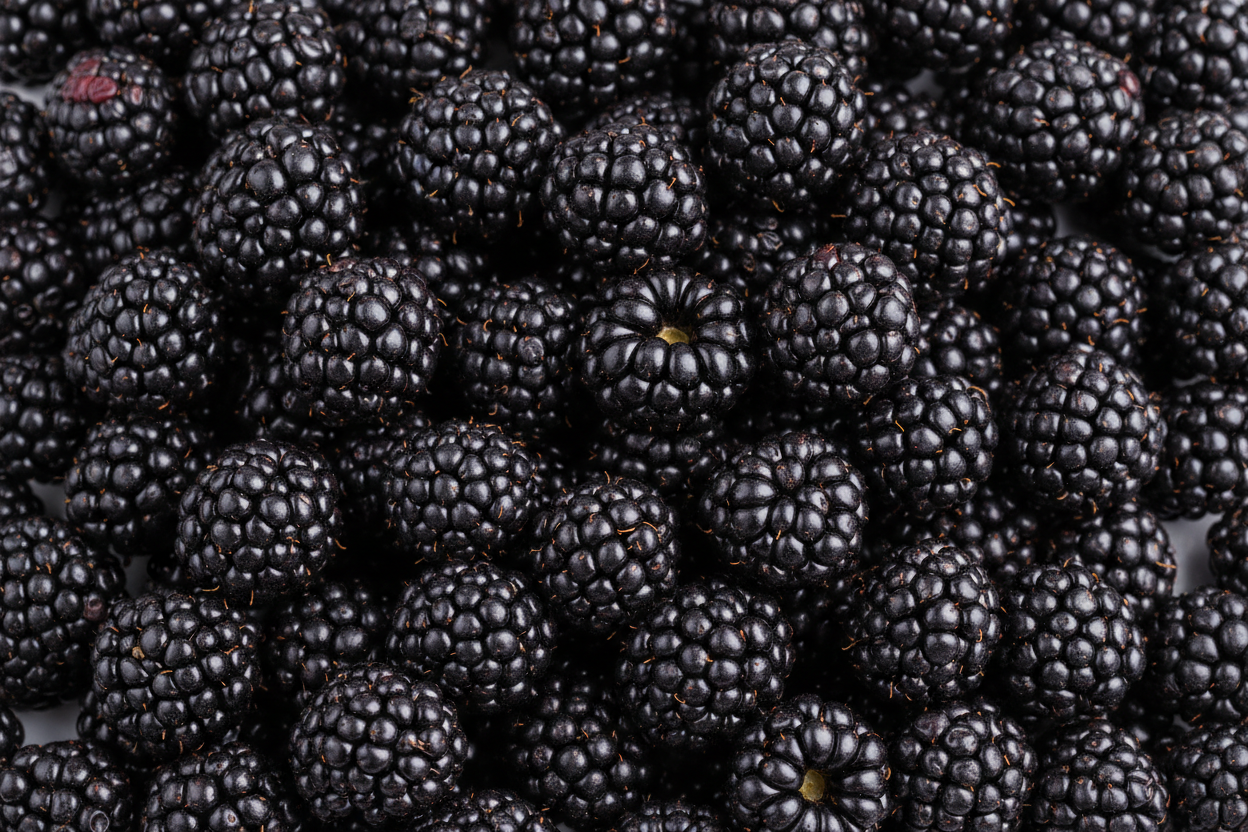 Blackberry professional image