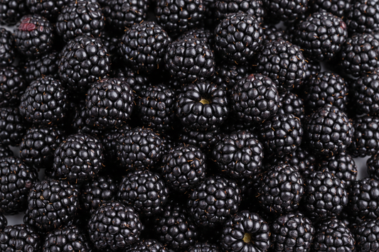 Blackberry professional image