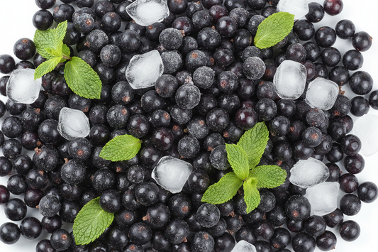 Blackcurrant Menthol professional image