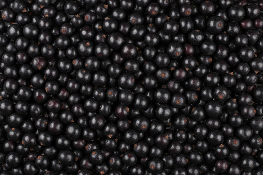 Blackcurrant professional image