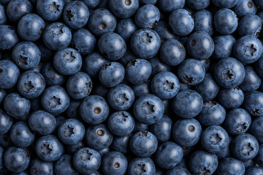 Blueberry professional image