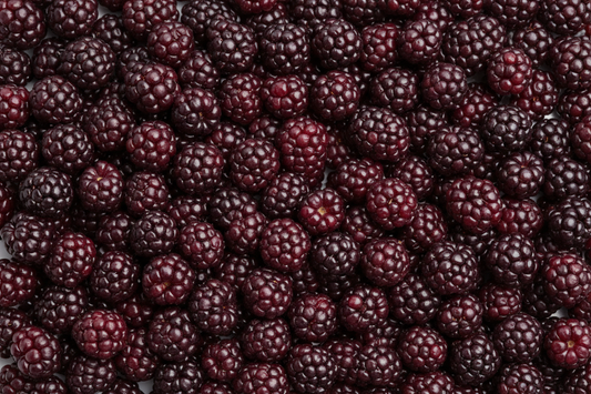 Boysenberry professional image