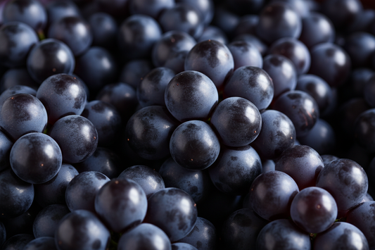 Concord Grape professional image