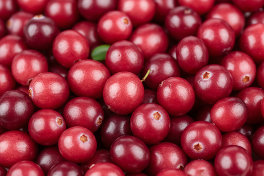 Cranberry professional image