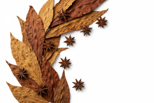 Professional Tobaccojack Image